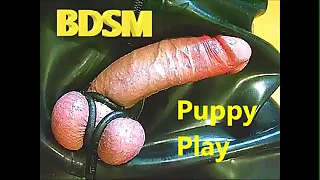 1353 toy porn videos